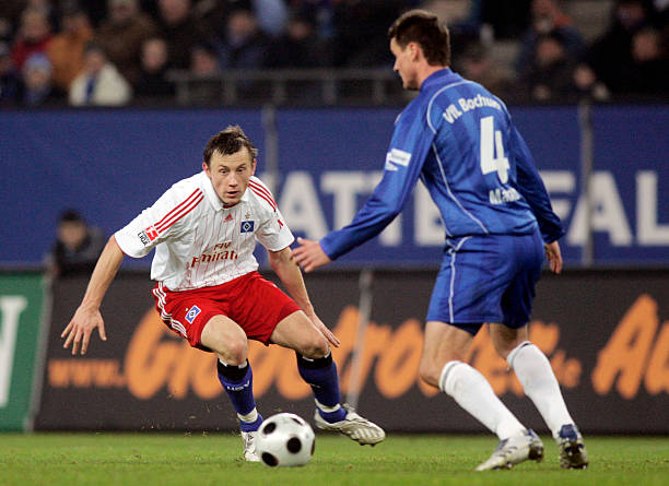 极具观赏性 极具观赏性